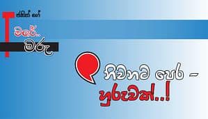 Read more about the article නිවනට පෙර-හුරුවක්..