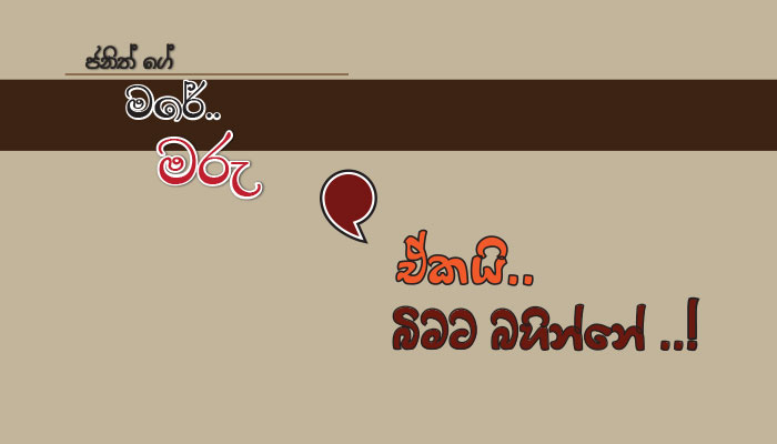 Read more about the article ඒකයි.. බිමට බහින්නේ..!!
