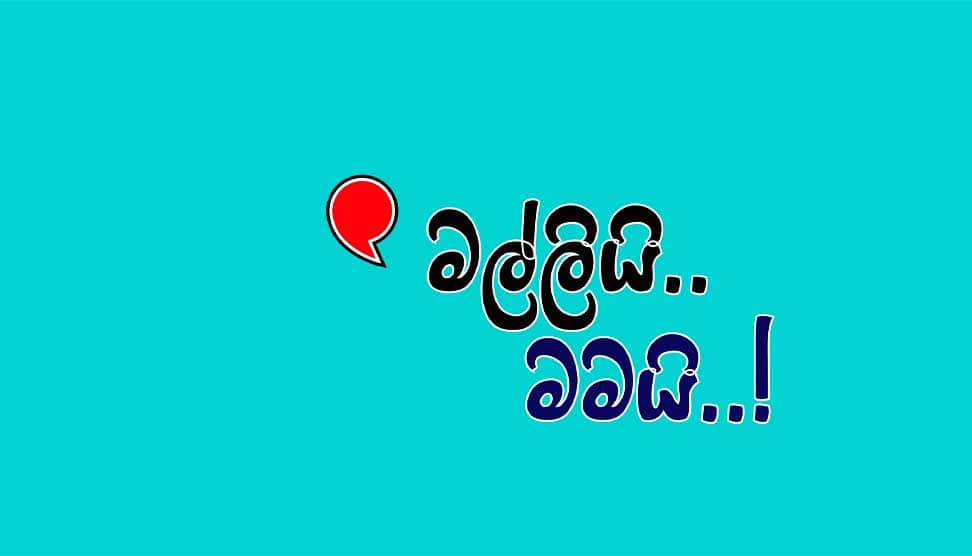 Read more about the article මල්ලියි.. මමයි..!
